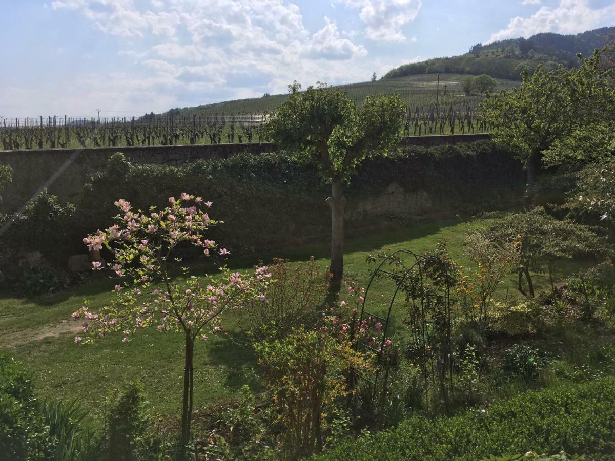Beck Domaine Du Rempart Βίλα Dambach Εξωτερικό φωτογραφία